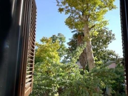 Фотография гостевого дома B&B DUOMO