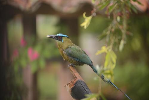 Фотография гостевого дома EcoRoundHouse