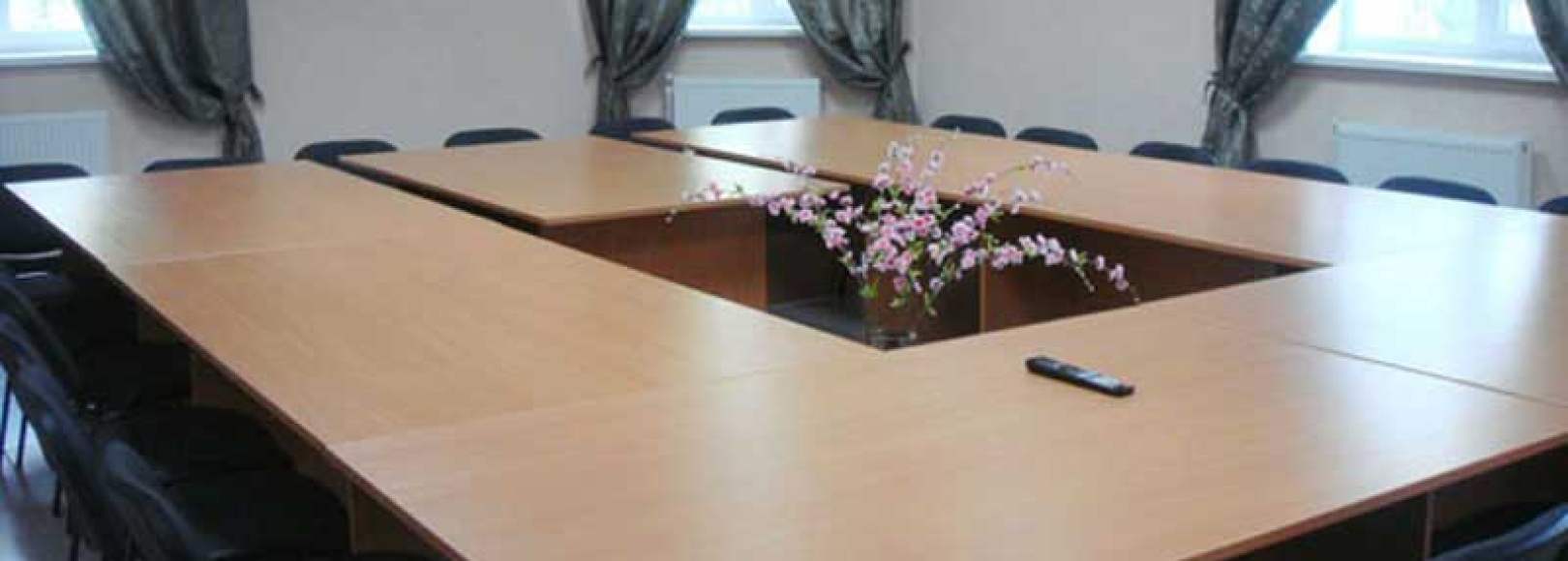 Фотография конференц-зала Березовая Роща