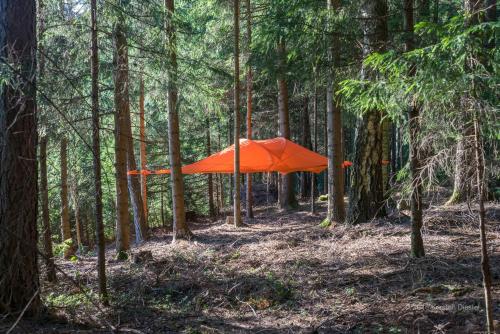 Фотография базы отдыха Baumzelt am Waldesrand