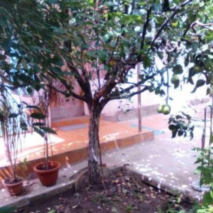 Фотография гостевого дома Уют