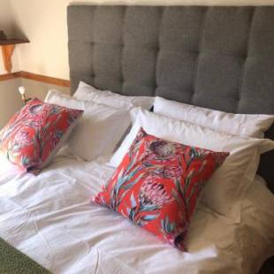 Фотографии мини отеля
Apple and Rose