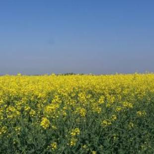 Фотографии мини отеля
Grooms Cottage