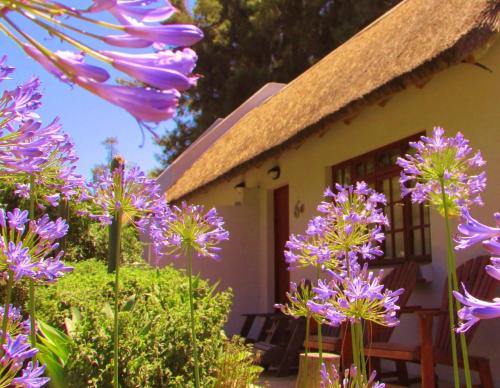 Фотография мини отеля Rosedale Organic Farm Bed & Breakfast