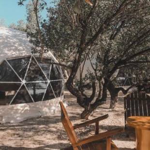 Фотографии гостиницы
Aquamare Beach Camp Resort