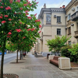 Фотография квартиры Апартаменты Счастье Жить в центре Севастополя