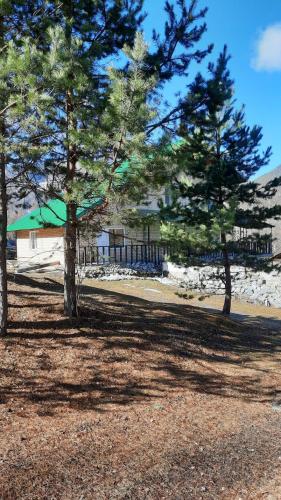 Фотография гостевого дома Усадьба у Катуни