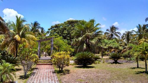 Фотография гостиницы Hotel El Doral