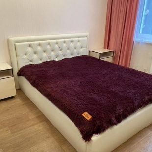 Фотография квартиры Апартаменты на Ул 30 Лет Победы 42к1