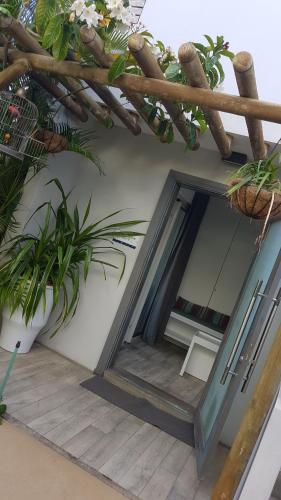 Фотография гостиницы La Mariposa Mauritius