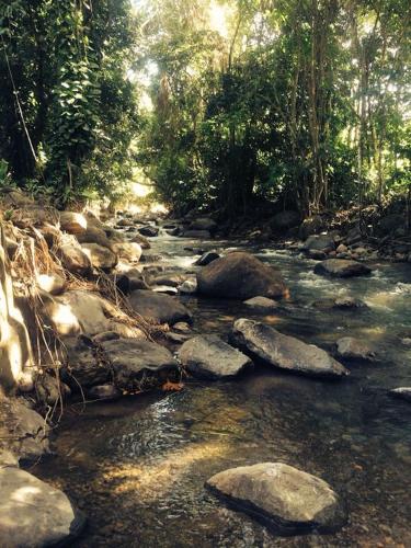 Фотография гостевого дома Kootney Resorts