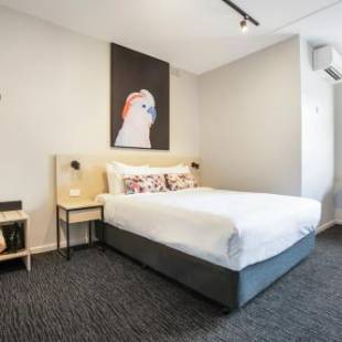 Фотографии гостиницы
Nightcap at the Charles Hotel