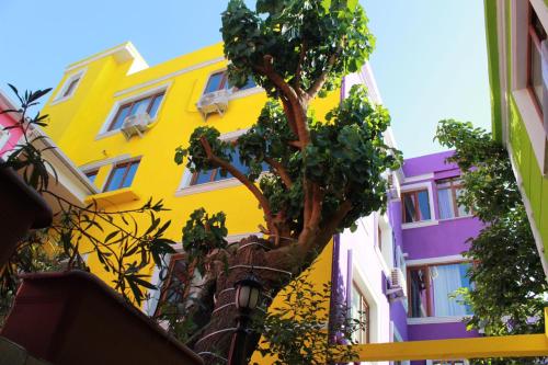 Фотография гостиницы The Zanadu İstanbul