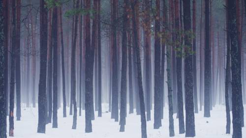 Фотография гостевого дома Белое озеро