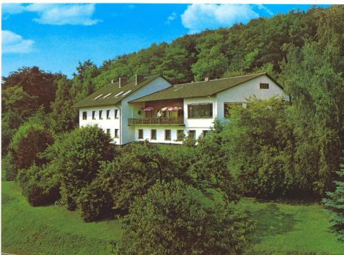Фотография гостиницы Hotel-Restaurant Berghof