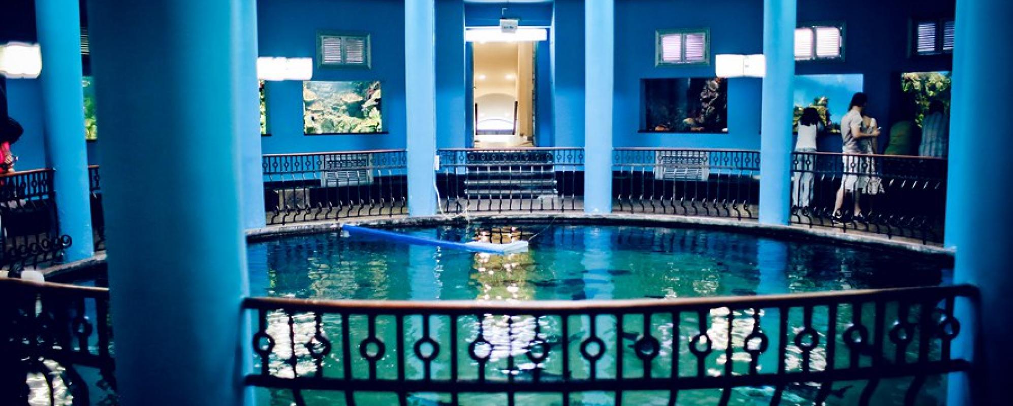 Фотографии достопримечательности Севастопольский Аквариум