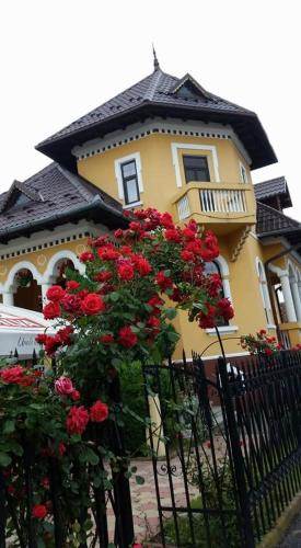 Фотография гостевого дома Pensiunea Onix