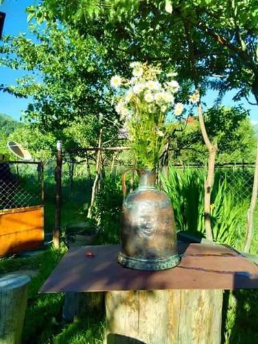 Фотографии гостевого дома 
            Guest House Nazo