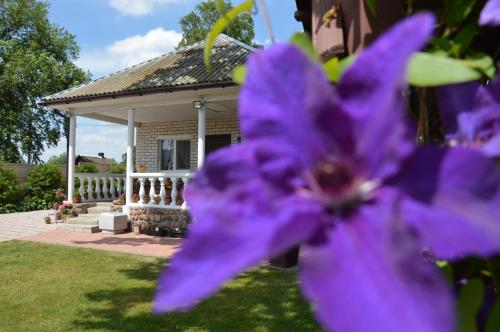 Фотография гостевого дома Усадьба Владимирская