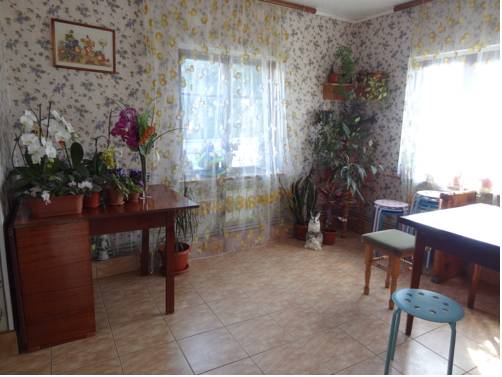 Фотографии гостиницы
Орхидея