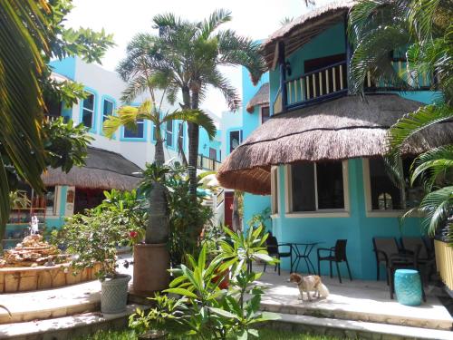 Фотография апарт отеля Casa Gatos