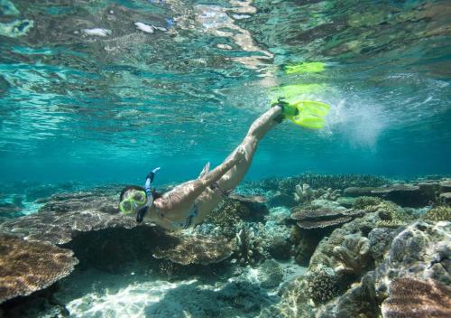 Фотография гостиницы Tioman Dive Resort