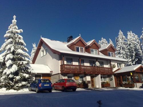 Фотография гостевого дома Penzion Pod Boubínem