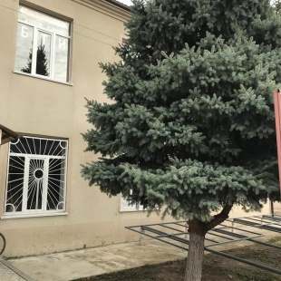 Фотография гостиницы Рудня