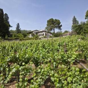 Фотографии базы отдыха
Fattoria Le Vegre