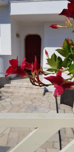 Фотография мини отеля I 7 Peccati