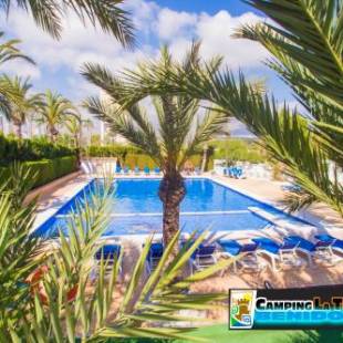 Фотографии кемпинга 
            Camping La Torreta