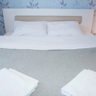 Фотография квартиры Двухкомнатные апартаменты у ДК Металлургов. Барбарис