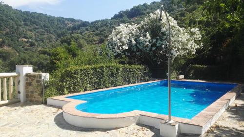 Фотография гостевого дома Finca El Molino De Aceite