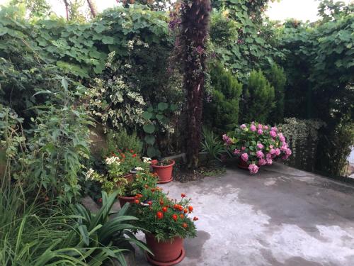 Фотографии гостевого дома
Гостевой дом