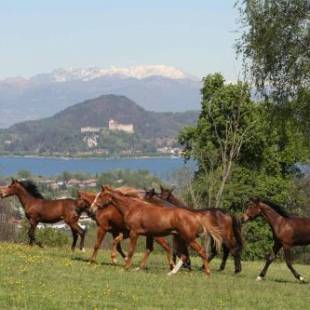 Фотографии мини отеля
La Cucchetta