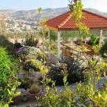 Фотография мини отеля Petra Bed & Breakfast