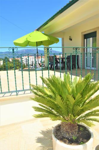 Фотография гостевого дома Casa Límia