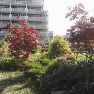 Фотография гостиницы Green House