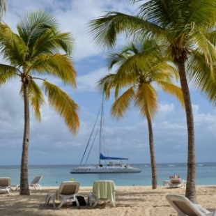 Фотография гостевого дома Cotton residences