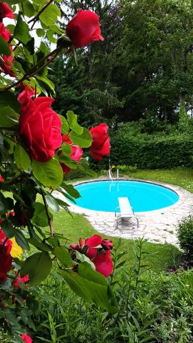 Фотография гостевого дома Landhaus am Kurpark