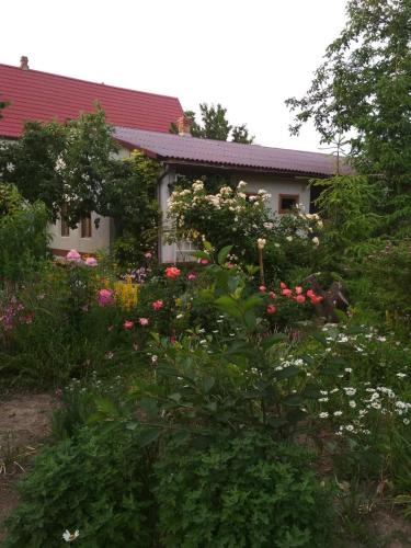 Фотография мини отеля Ореховый рай