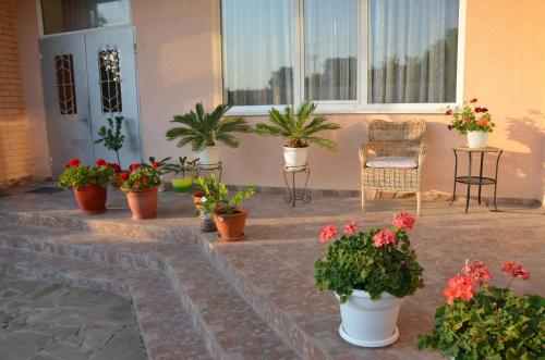 Фотография гостиницы Аврора