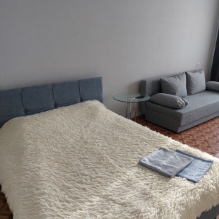 Фотография квартиры Квартира Уютная в Центре Города на Голосова 44