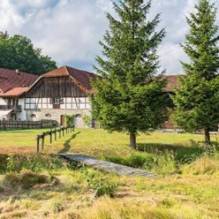 Фотография гостевого дома Naturidyll Kollnbergmühle