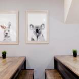 Фотография хостела Mad Monkey Backpackers on Broadway