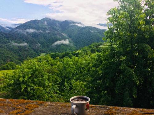 Фотография гостевого дома House in Tba