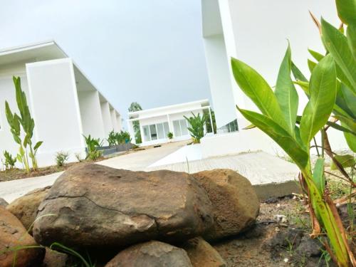 Фотография гостевого дома San Sabai the cottages