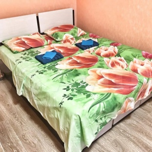 Фотография квартиры Квартира Уютная квартира в центре города