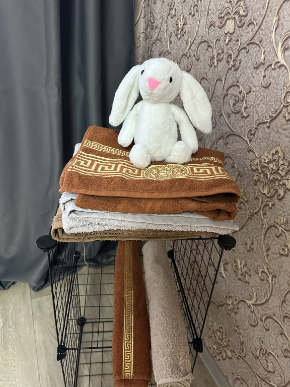 Фотография квартиры Апартаменты У Белого Кролика