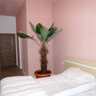 Фотография гостиницы Holiday Hostel